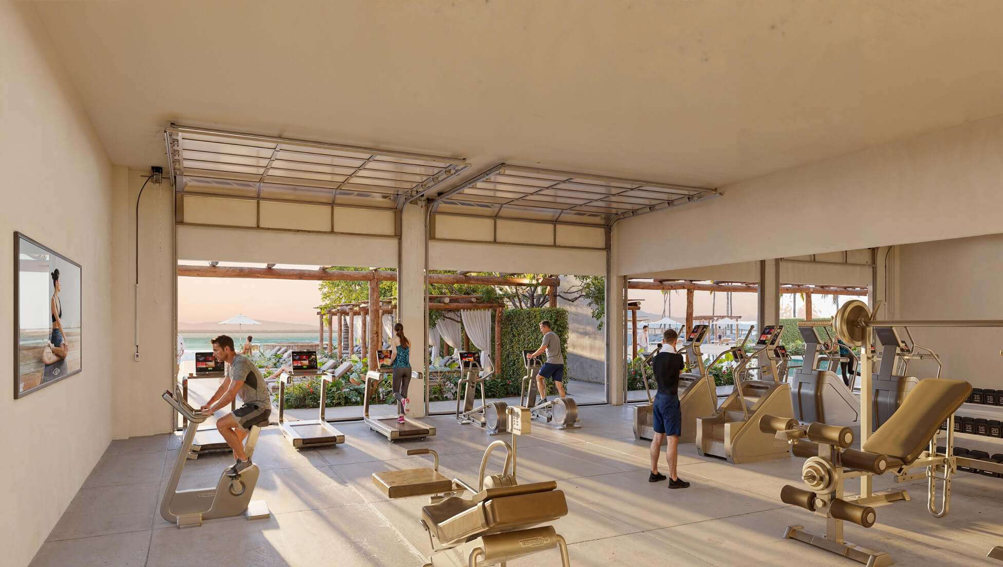 Alta Baja Beachfront Living Reimagined