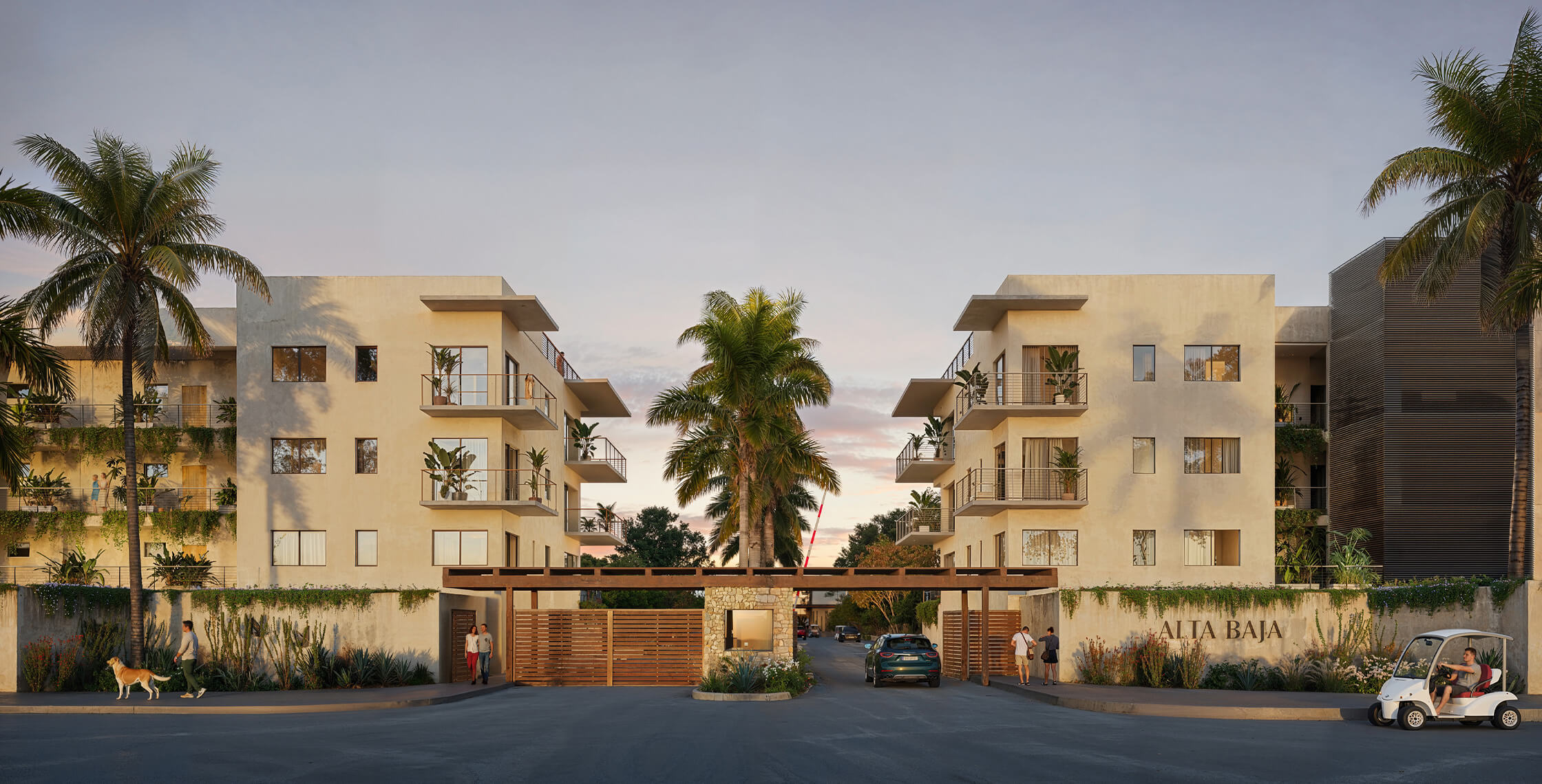 Alta Baja Beachfront Living Reimagined