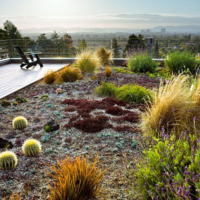 Alta Baja Beachfront Living Reimagined